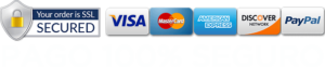 pago-seguro-online-2-300x62-1-300x62